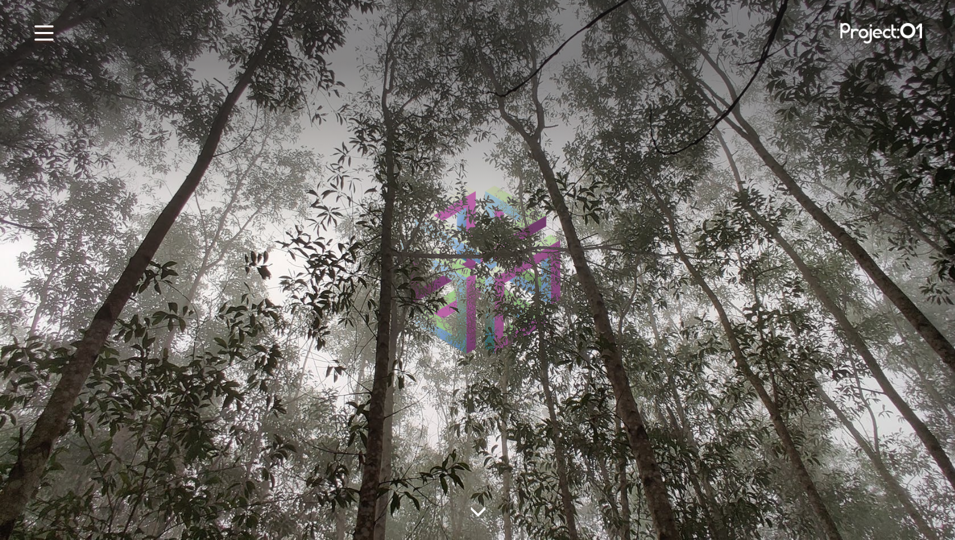Project01 Music Site Image